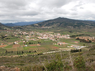 Nemea Nemea